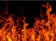 Metal Matters: Safety in Food Processing